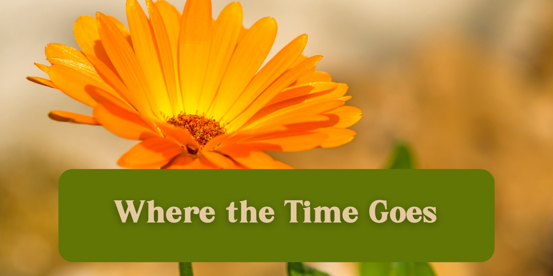 Where the Time Goes There's Still Hope